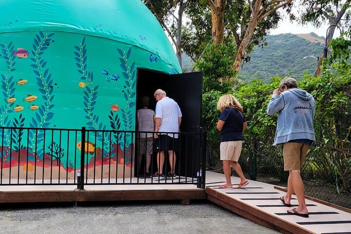 Immersed 360° Ocean Dome Experience on Catalina Island photo 6
