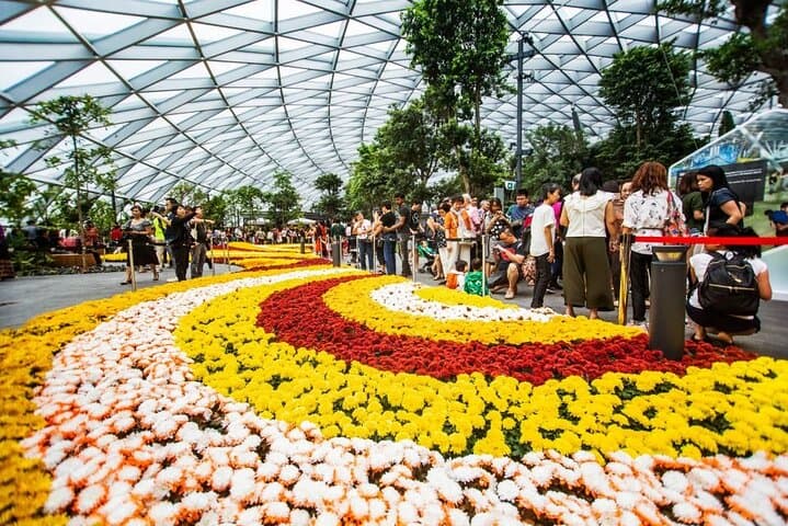 jewel-changi-mirror-maze-and-canopy-park-skip-the-line-ticket