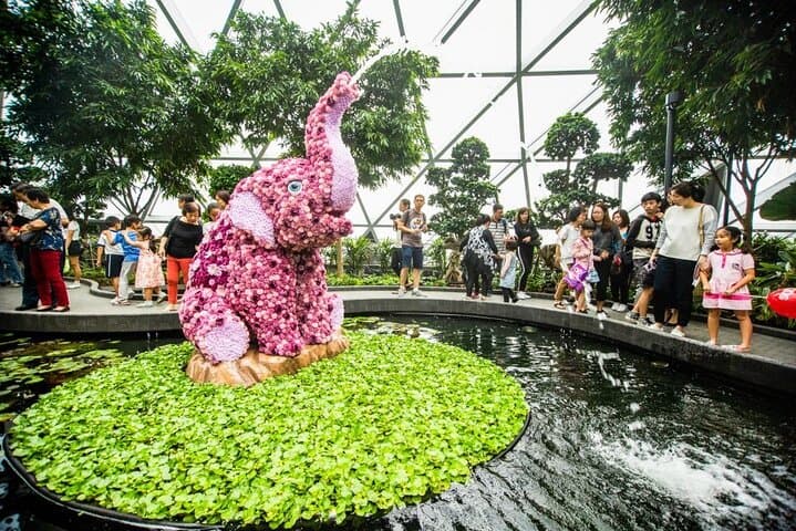 jewel-changi-mirror-maze-and-canopy-park-skip-the-line-ticket photo 2