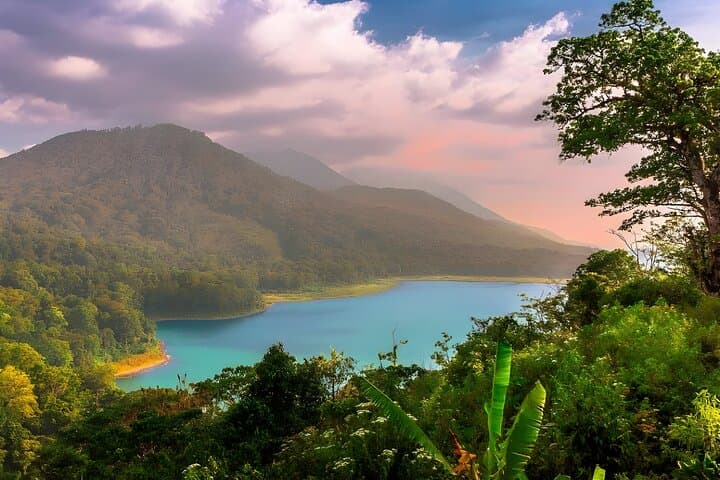 Lovina Dolphin Watching and Bedugul Temple Day Tour — Sunrise Dolphins & Highland Lakes photo 3