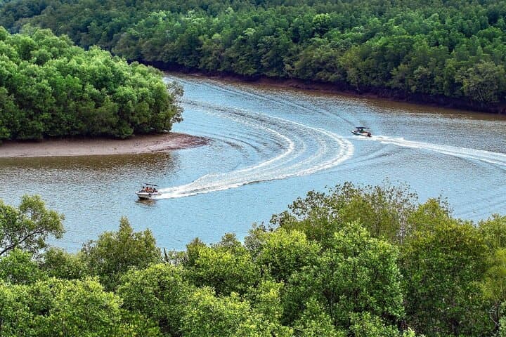 Can Gio Mangrove Forest: Full-Day Private Guided Expedition from Ho Chi Minh City