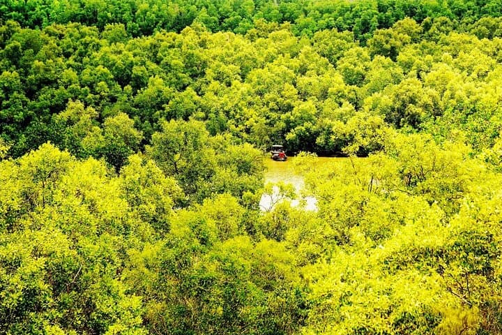 Can Gio Mangrove Forest: Full-Day Private Guided Expedition from Ho Chi Minh City photo 2