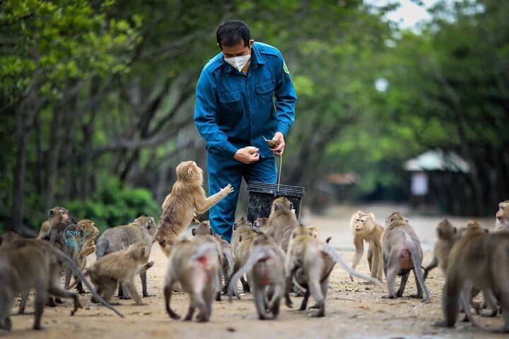 Can Gio Mangrove Forest: Full-Day Private Guided Expedition from Ho Chi Minh City photo 5