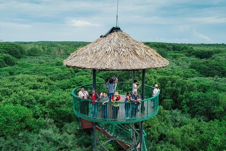 Can Gio Mangrove Forest: Full-Day Private Guided Expedition from Ho Chi Minh City photo 6
