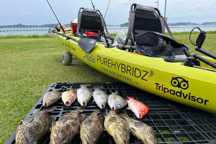 Full-Day Kayak Fishing Rental at Pasir Ris Park — Hobie Mirage Kayaks & Urban Saltwater Action photo 6