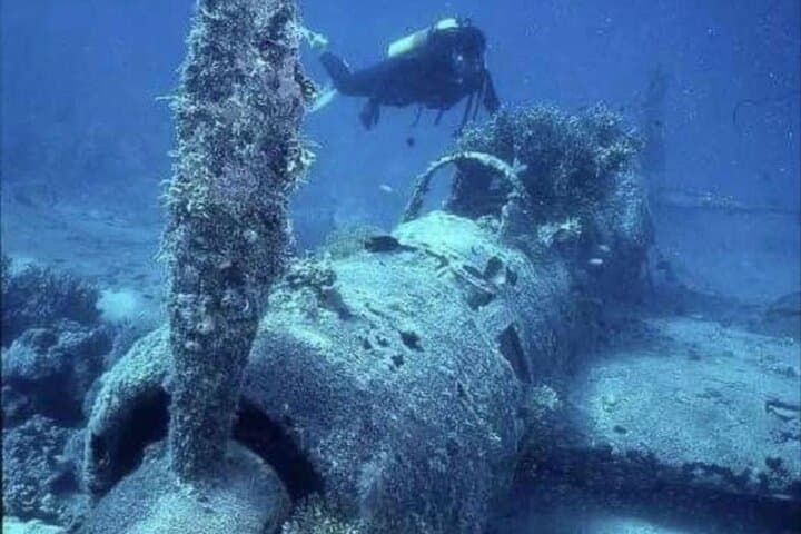 Discover Scuba Diving at Khobar Half Moon Beach — Introductory Gulf Reef Dive photo 3