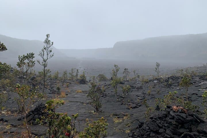 Explore Hawaii Volcanoes National Park: A Private Tour of Kilauea's Fiery Wonders photo 6