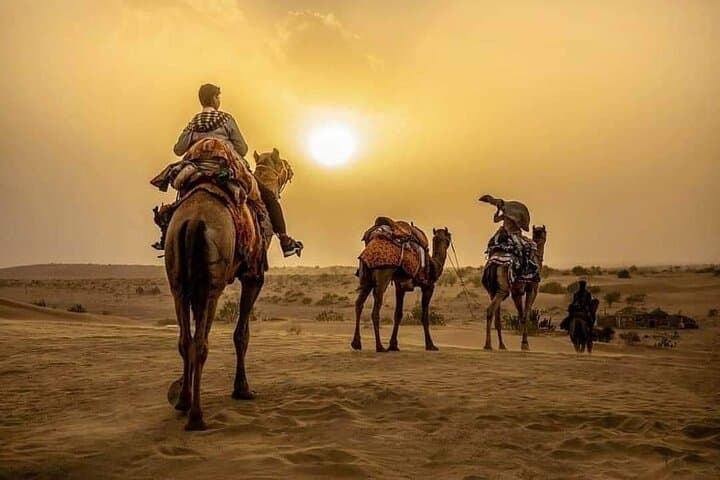 Overnight Desert Adventure Safari in Jaisalmer: Camel Rides & Stargazing photo 2