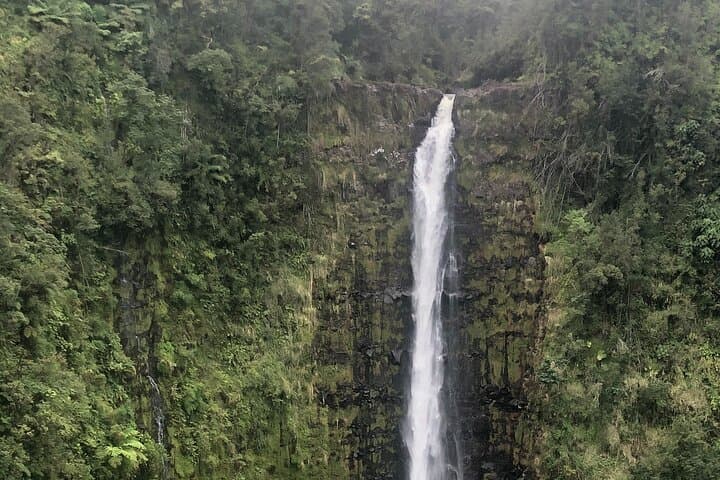 Exploring Hilo and the Hamakua Coast: A Private Shore Excursion Adventure photo 6