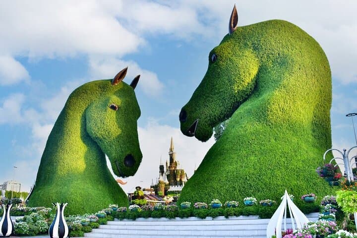 Miracle Garden and Global Village Dubai: Timed Ticket with Shared Transfers photo 4