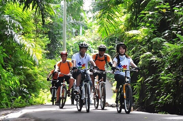Bali Downhill Cycling and Ubud Waterfalls: Full-Day Countryside Tour photo 1