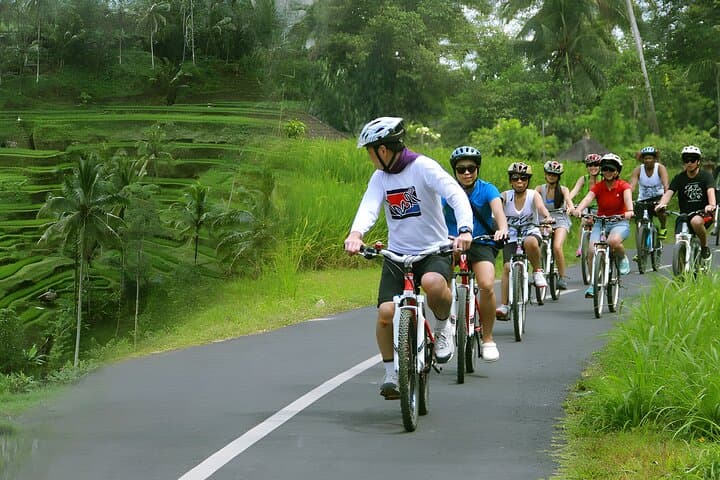 Full-Day Bali Cycling & Ubud Temples Waterfall Tour — Downhill Ride from Kintamani