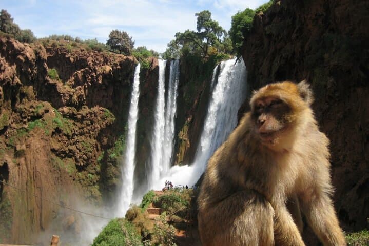 Day Trip to Ouzoud Waterfalls from Marrakech: Hike, Boat Ride & Berber Village Visit photo 6
