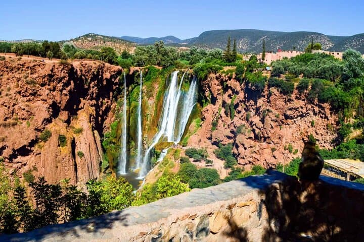 Day Trip to Ouzoud Waterfalls from Marrakech — Guided Hike & Boat Ride photo 4