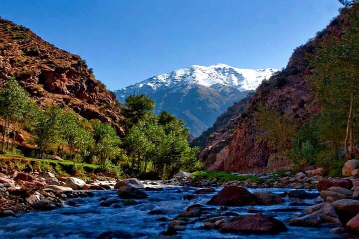 Ourika Valley & Atlas Mountains Day Trip from Marrakech — Berber Villages & Setti Fatma Waterfalls photo 6