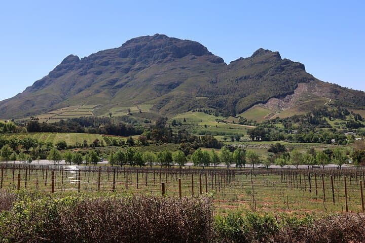 Private Cape Town Wine Tour: Stellenbosch & Paarl Estates with Tastings photo 4