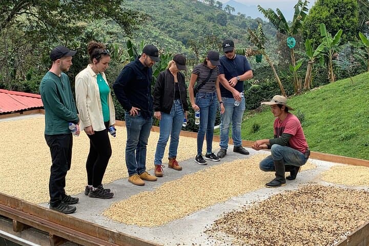 Jeep & Coffee Tour at Finca Mariposa — Coffee Picking at 1,800m in Jardín photo 2