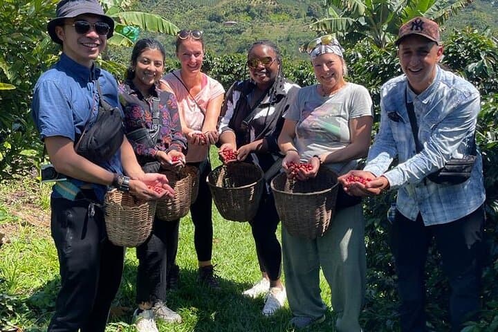 Jeep & Coffee Tour at Finca Mariposa — Coffee Picking at 1,800m in Jardín photo 3
