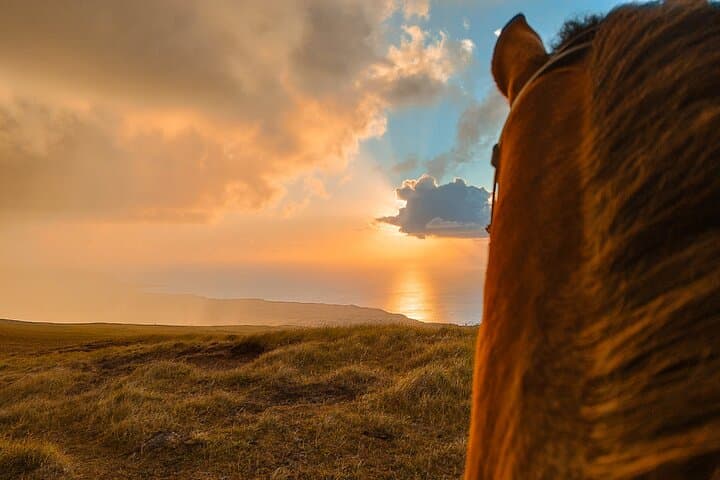 Sunrise Horseback to Terevaka: Private Riding on Easter Island photo 3