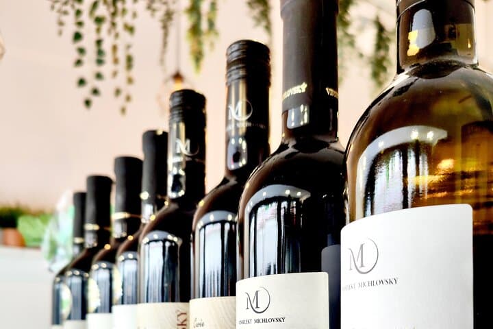 Prague Wine Tasting and History: Private Moravian Wine Walk with Sommelier photo 3