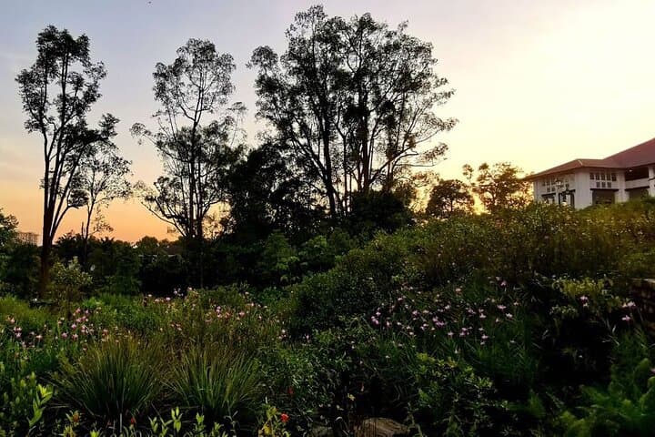 Sunrise Stroll: Botanic Gardens & Tiong Bahru Walking Tour with Hawker Breakfast photo 2