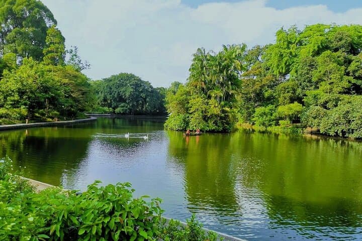 Sunrise Stroll: Botanic Gardens & Tiong Bahru Walking Tour with Hawker Breakfast photo 4