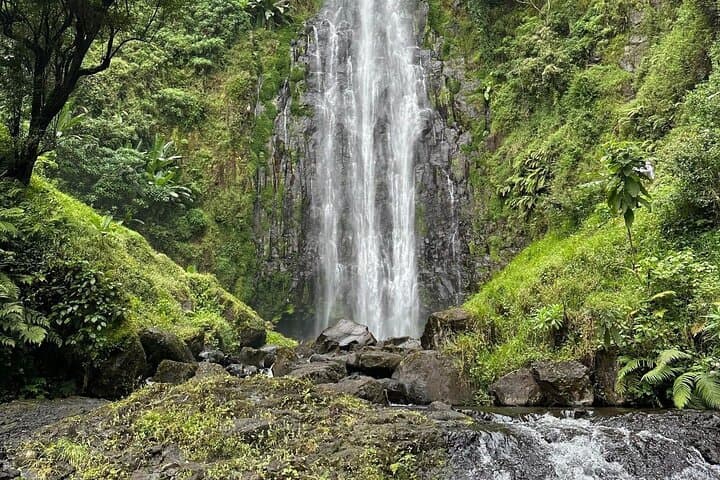 Materuni Waterfall & Coffee Plantation Half-Day: Hike, Swim and Chagga Coffee Experience photo 2