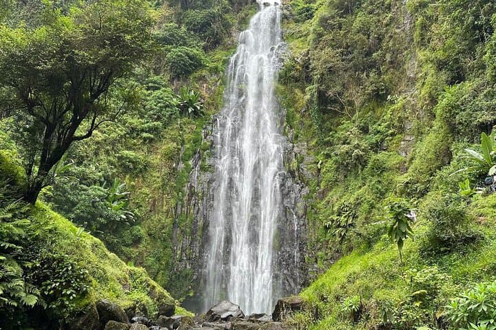 Materuni Waterfall & Coffee Plantation Half-Day: Hike, Swim and Chagga Coffee Experience