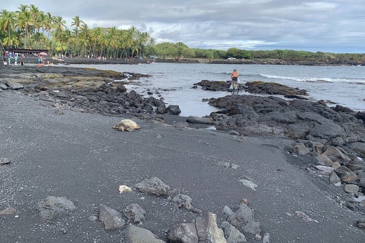 Exploring Hilo and the Hamakua Coast: A Private Shore Excursion Adventure photo 5