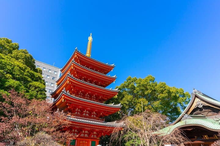 Full-Day Private Shore Tour from Sasebo to Fukuoka — Dazaifu, Ohori Park & Kushida Shrine