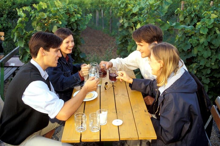 E‑Mountainbike Magic: Vienna Forests, Danube Rides & Heuriger Tastes photo 2