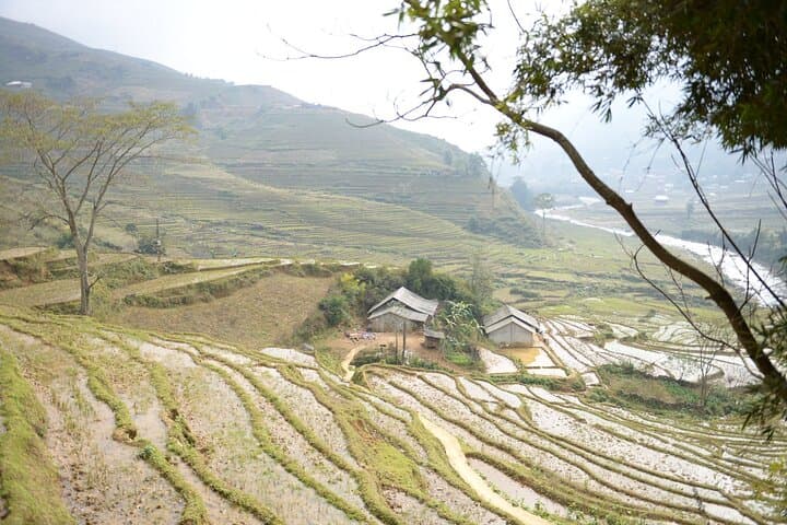 Sapa 2-Day Authentic Trek: Muong Hoa Valley Views & Homestay Experience photo 6