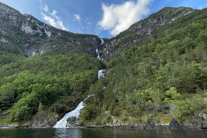 Private Day Cruise Flåm to Gudvangen — Nærøyfjord Luxury Fjord Tour photo 6