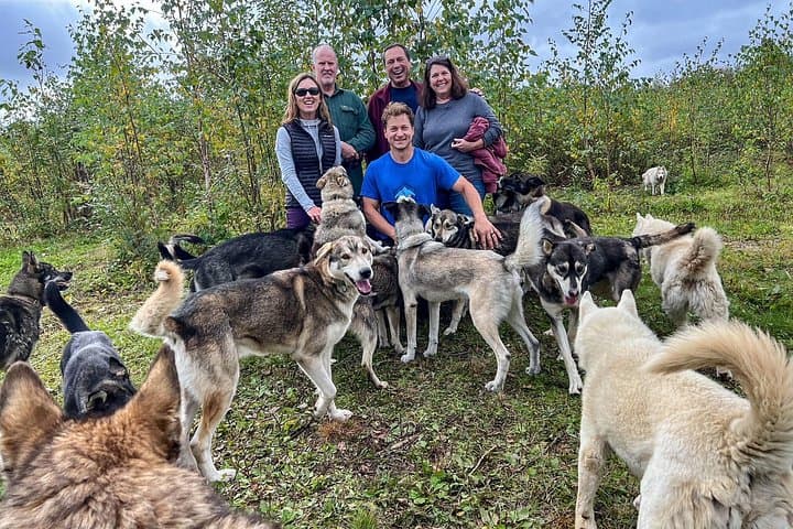 Meet Alaska's Sled Dogs: Kennel Tour at Susitna Sled Dog Adventures photo 2