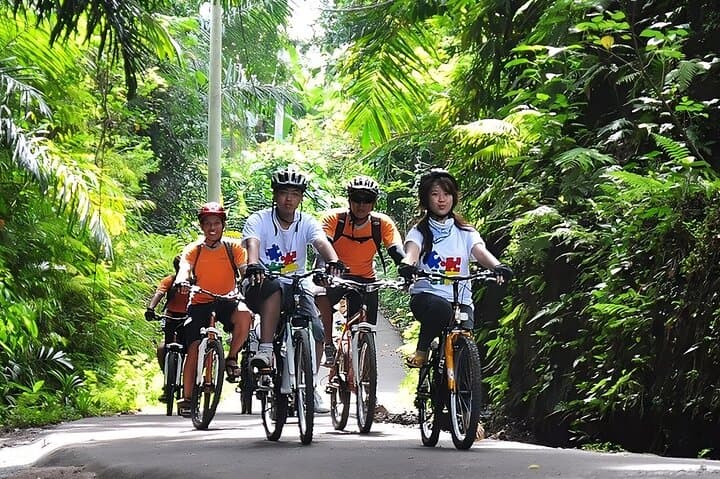 One-Day Bali Downhill Cycling and Ayung River Rafting from Ubud photo 3