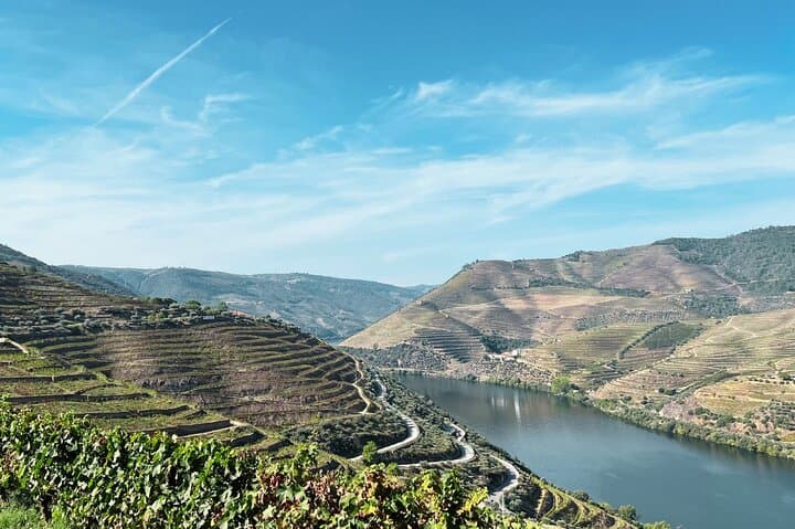 Douro Valley Day Trip: Port Wine, River Cruise & Quintas from Porto