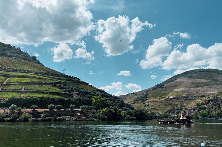 Douro Valley Day Trip: Port Wine, River Cruise & Quintas from Porto photo 2