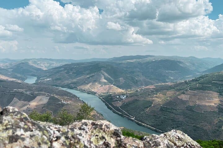 Douro Valley Day Trip: Port Wine, River Cruise & Quintas from Porto photo 3