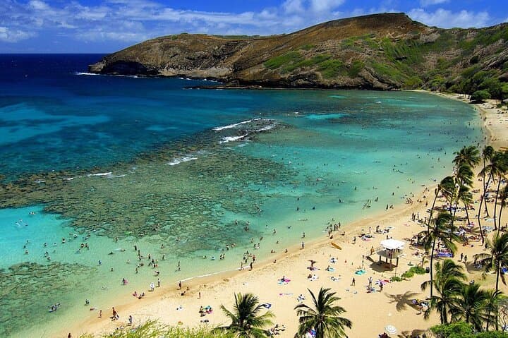 North Shore Private Tour: Haleiwa, Waimea & Dole Plantation — Full-Day Private Experience photo 4