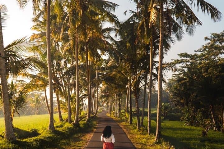 Custom Bali Full-Day: Private Car & Driver for Ubud Temples, Rice Terraces and Waterfalls photo 6