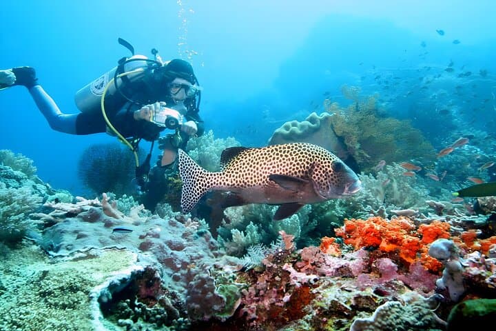 Bali Water Sport Jumbo Packages at Tanjung Benoa — Snorkeling, Parasailing & Jet Ski Adventures photo 6