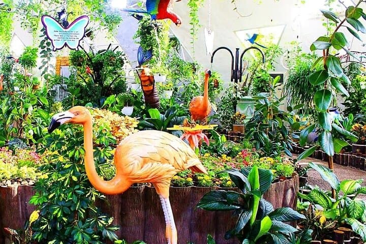 Dubai Miracle Garden & Butterfly Garden: Tickets, Tips, and What to Expect photo 6