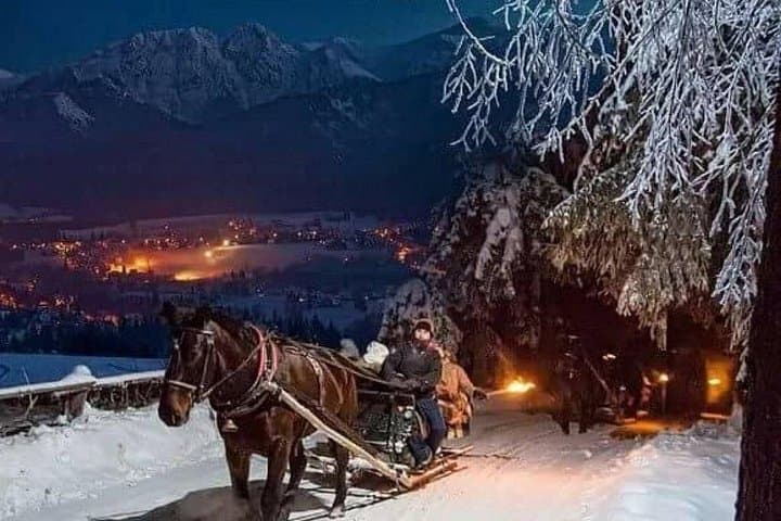 Zakopane Sleigh Ride in Chochołowska Valley: Winter Sleigh & Highland Feast photo 2