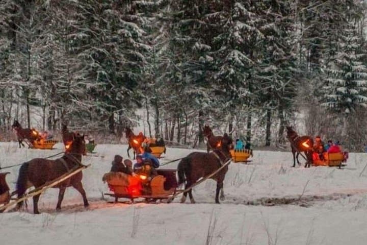 Zakopane Sleigh Ride in Chochołowska Valley: Winter Sleigh & Highland Feast photo 3