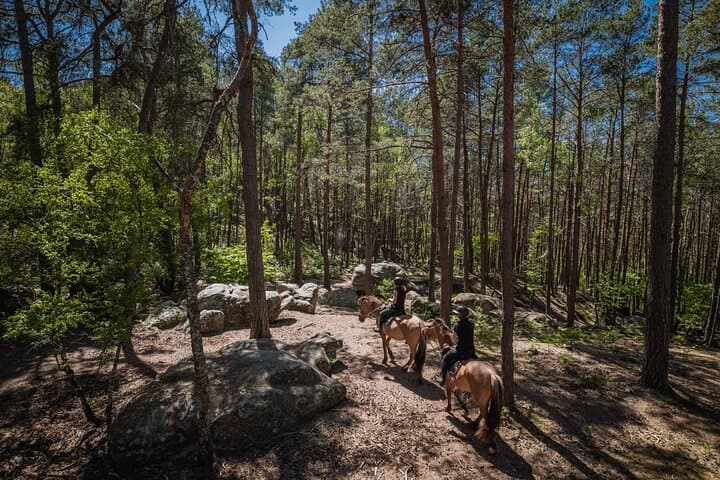 Horse Riding and Château Day Trip to Fontainebleau from Paris: Forest Ride, Gourmet Lunch & Castle Tour photo 4