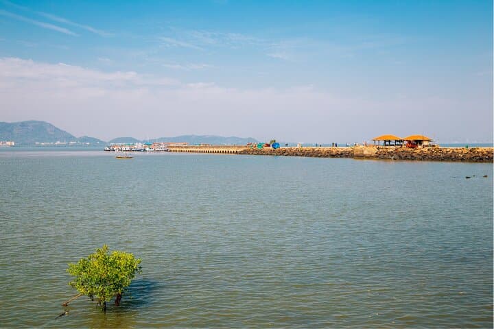Elephanta Caves Guided Half-Day: Ferry, Toy Train & Shiva Reliefs photo 6