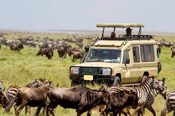 21-Day Kenya & Tanzania Adventure: Maasai Mara Safari, Kilimanjaro Machame Route & Diani Beach photo 3
