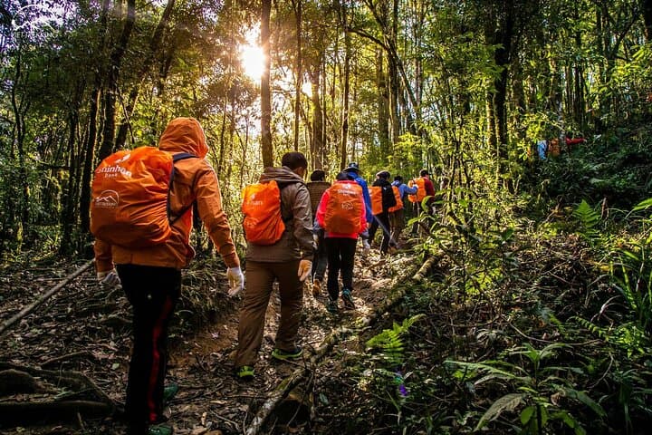 Conquer Fansipan in One Day: Private 1-Day Trek from Sapa photo 3