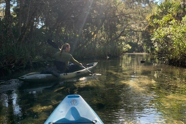 Private Chassahowitzka River Kayak Tour — Wildlife, Springs & Quiet Florida Paddling photo 2