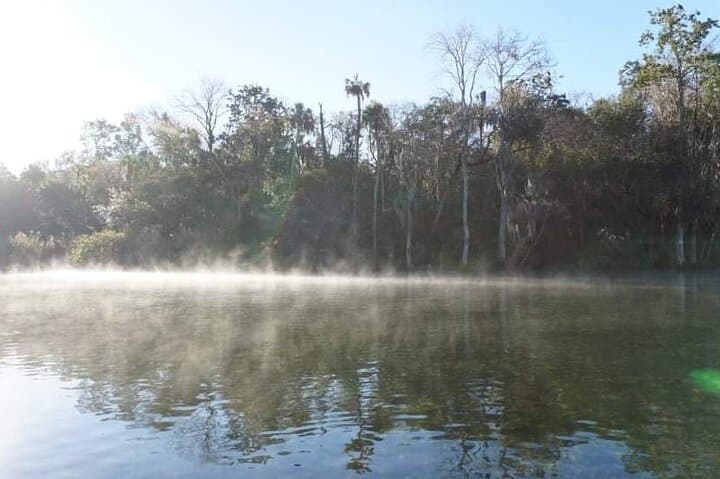 Private Chassahowitzka River Kayak Tour — Wildlife, Springs & Quiet Florida Paddling photo 4